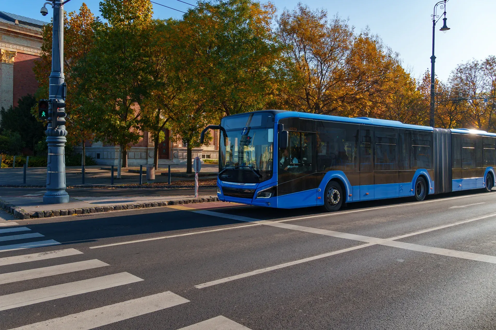 Blue city bus waits at crosswalk in city traffic.